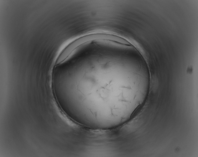 X0000092240862200710051237