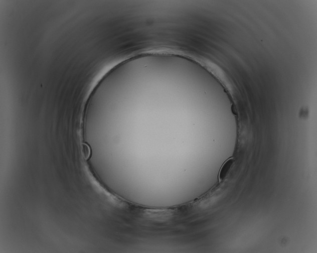 X0000092240863200710051237