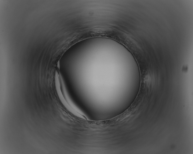 X0000092240868200710051236