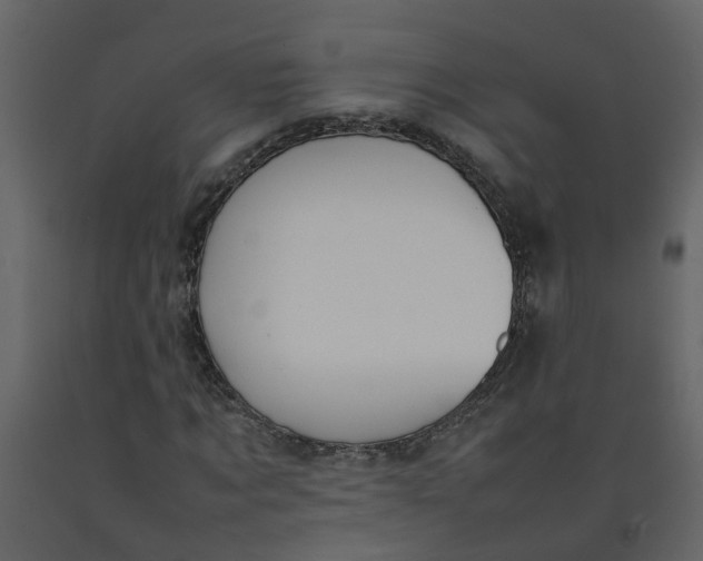 X0000092240869200710051236