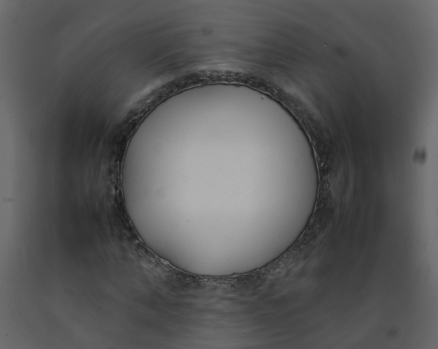 X0000092240870200710051236