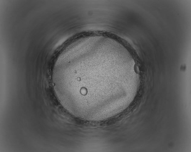 X0000092240871200710051236