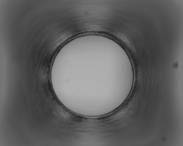 X0000092240873200710051236