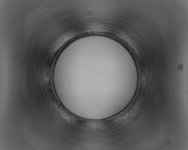 X0000092240874200710051236