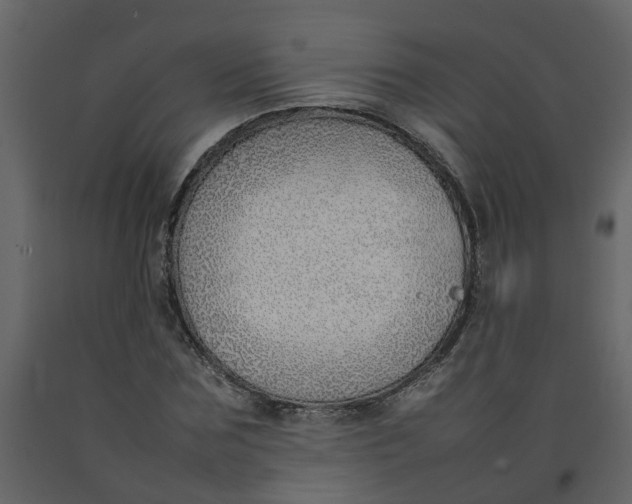 X0000092240875200710051236