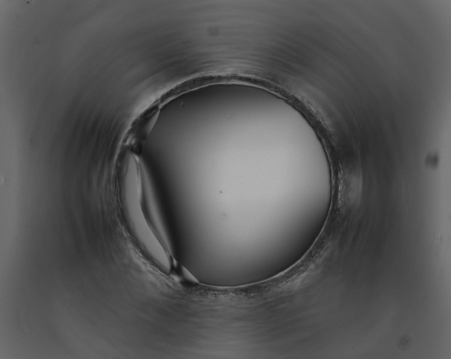 X0000092240876200710051236