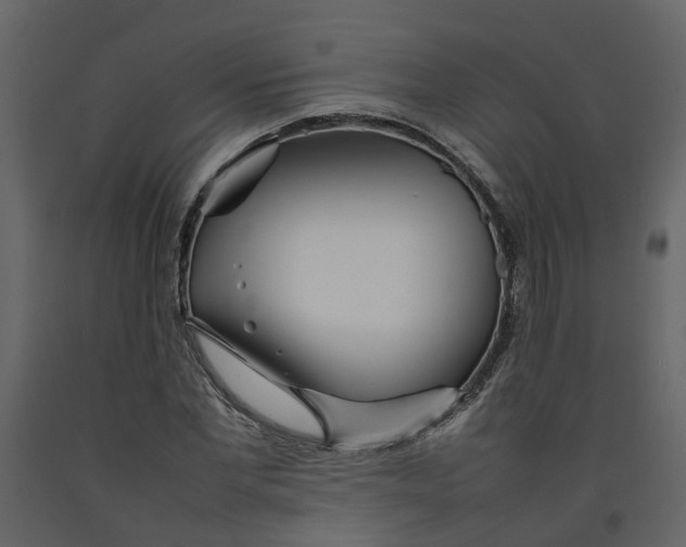 X0000092240877200710051236