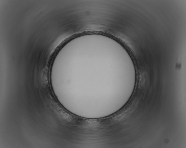 X0000092240878200710051236