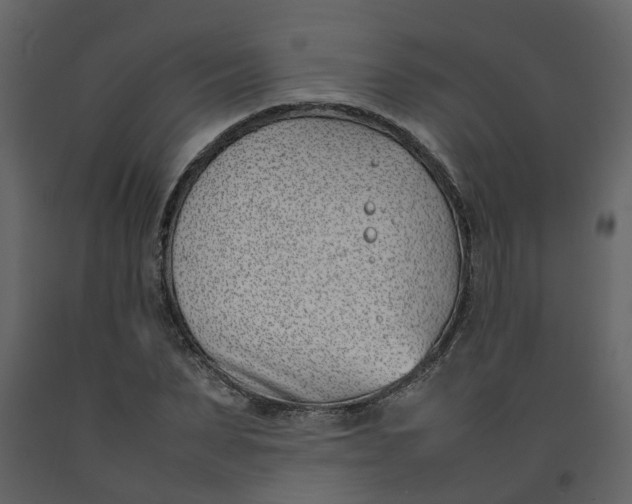 X0000092240879200710051236