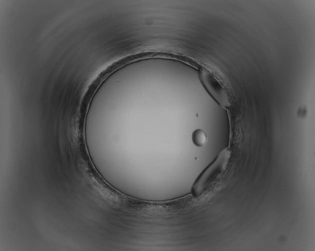 X0000092240880200710051236