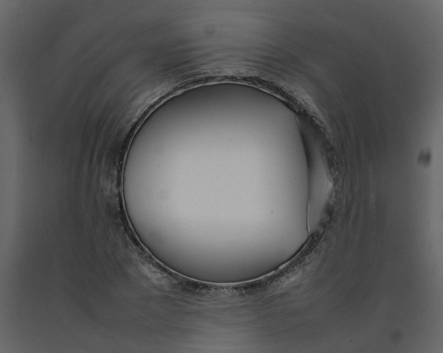 X0000092240881200710051236