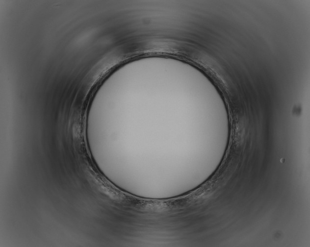 X0000092240882200710051236