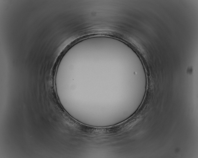 X0000092240883200710051236