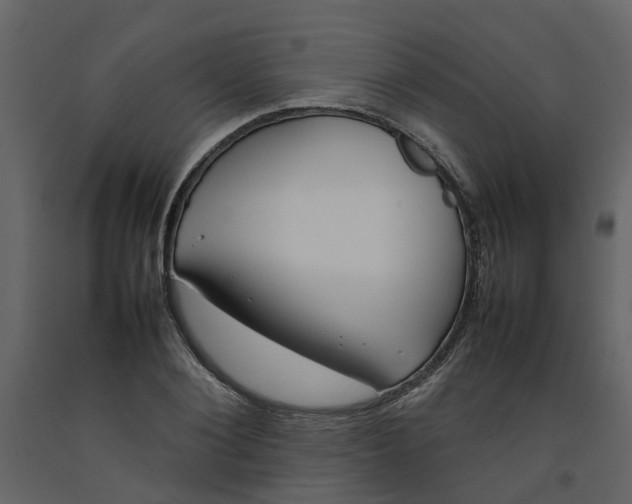 X0000092240884200710051236