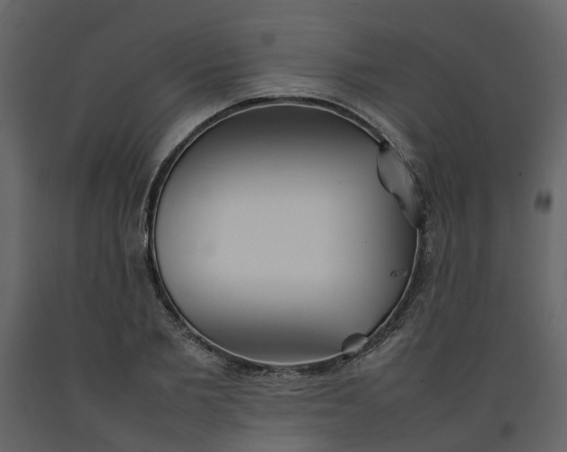 X0000092240885200710051236