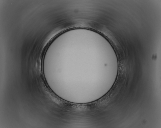 X0000092240886200710051236