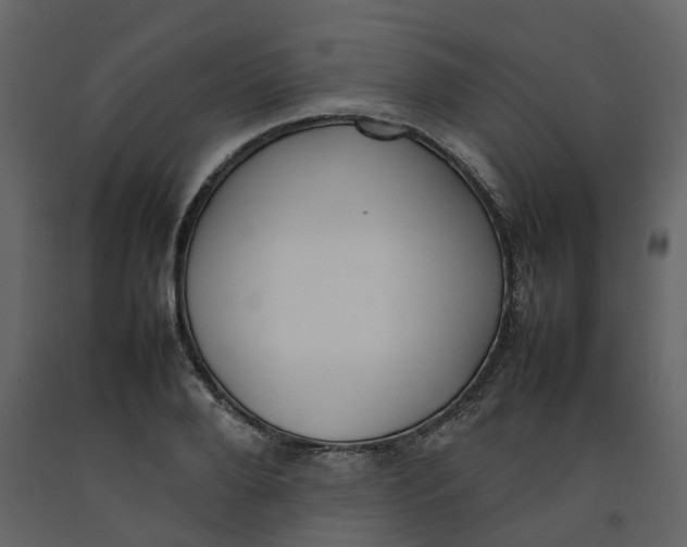 X0000092240888200710051236