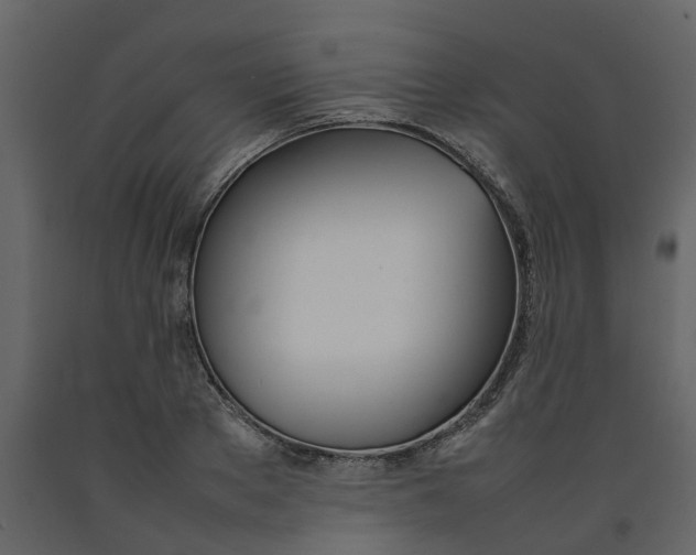 X0000092240889200710051236