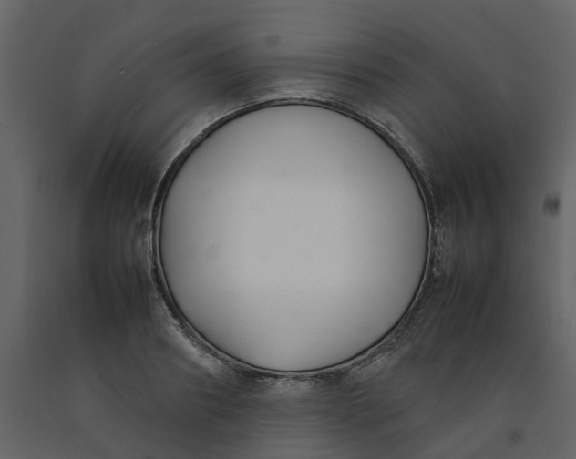 X0000092240890200710051236