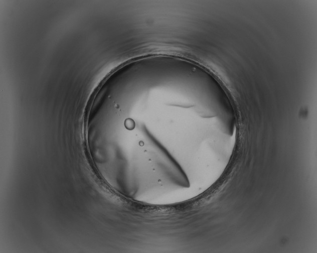 X0000092240891200710051236