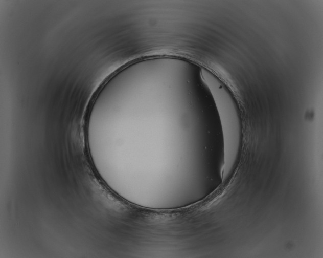 X0000092240892200710051236