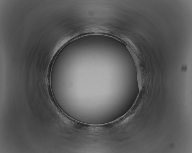 X0000092240893200710051236