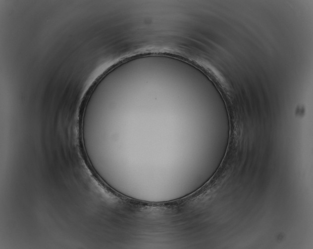 X0000092240894200710051236