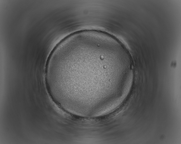 X0000092240895200710051236