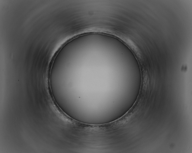 X0000092240896200710051236