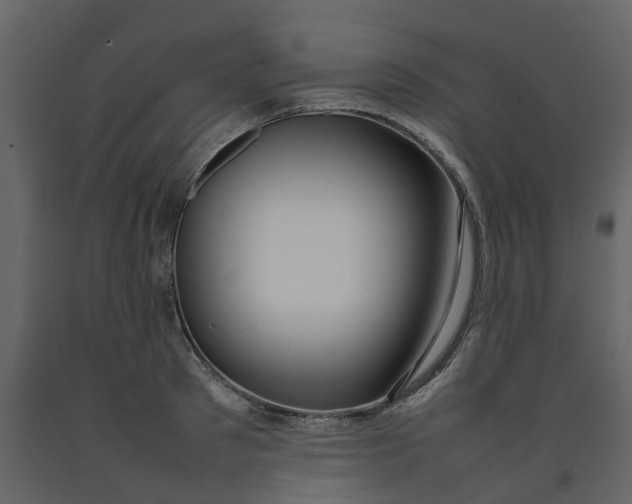 X0000092240897200710051236