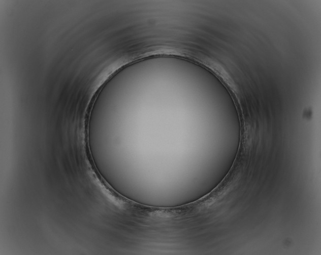 X0000092240898200710051236