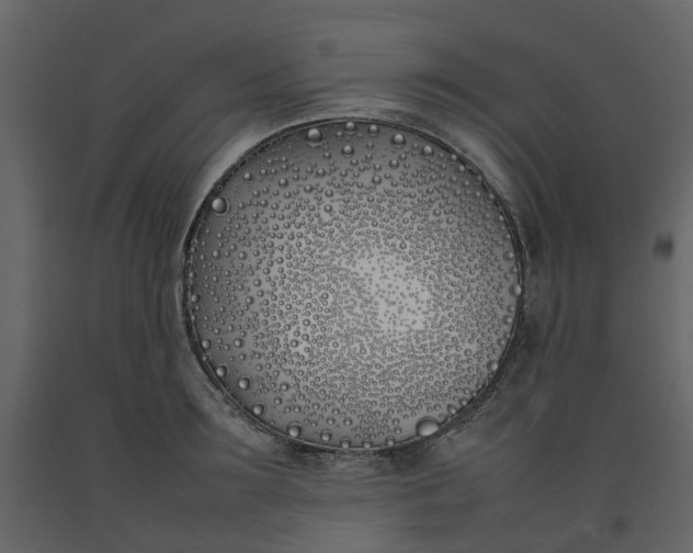 X0000092240899200710051236