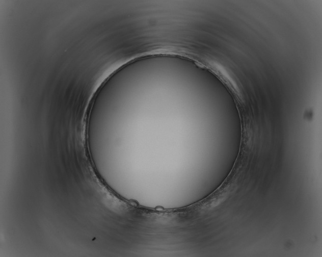 X0000092240900200710051236