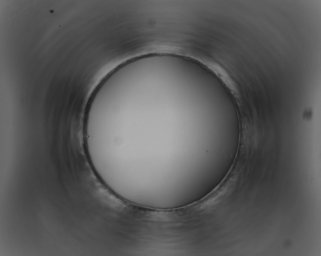 X0000092240904200710051236