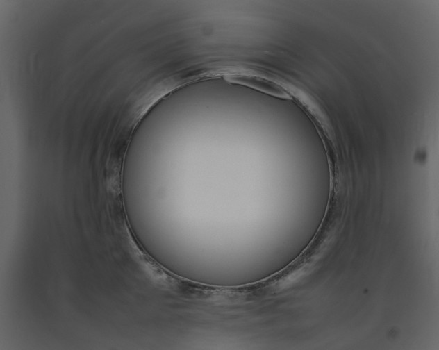 X0000092240905200710051236