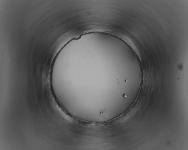 X0000092240906200710051236