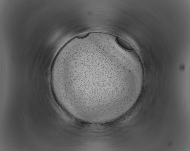 X0000092240907200710051236