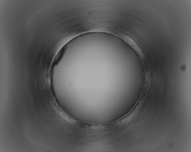 X0000092240908200710051236