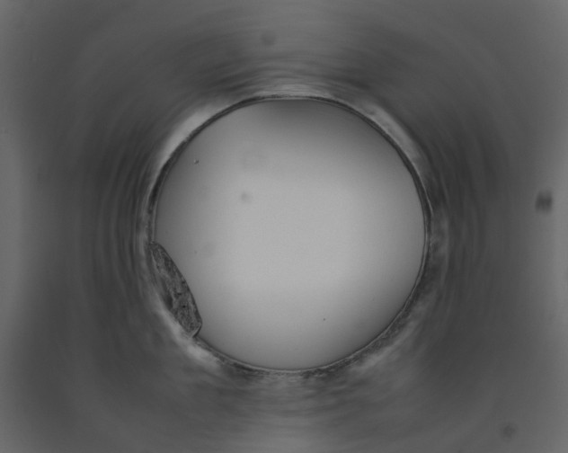 X0000092240909200710051236