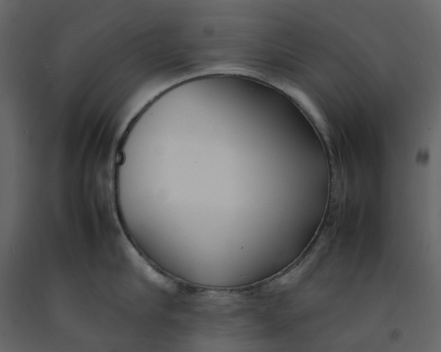 X0000092240910200710051236