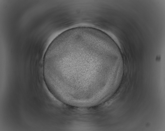 X0000092240911200710051236