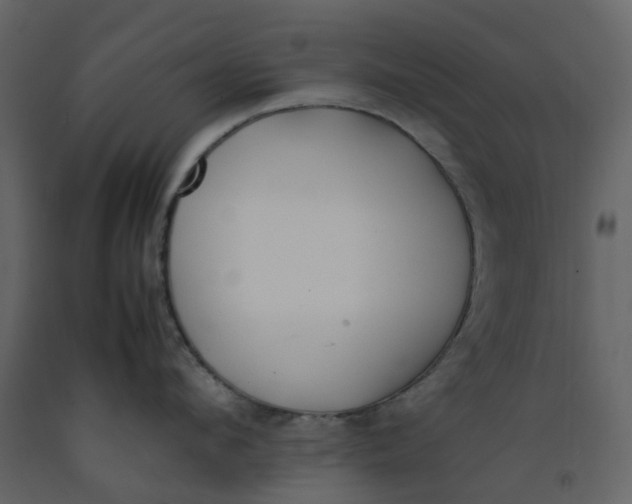 X0000092240912200710051236