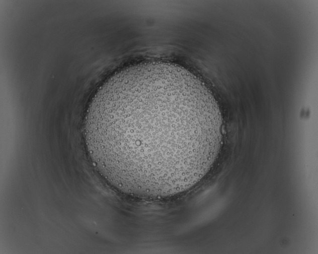 X0000092240913200710051235