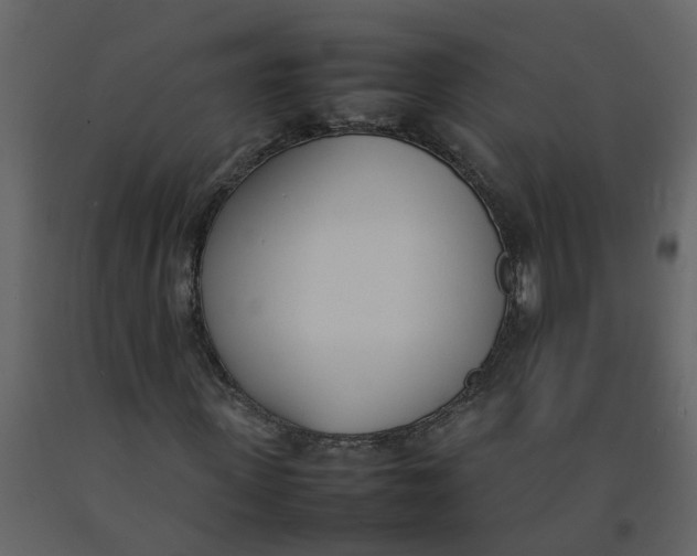 X0000092240915200710051235