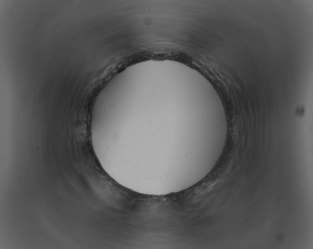 X0000092240916200710051235