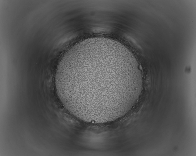 X0000092240917200710051235