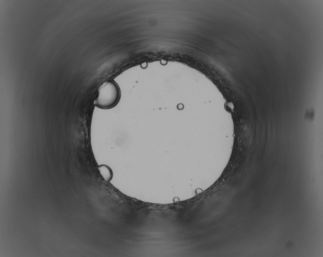 X0000092240918200710051235