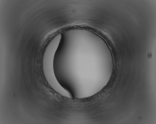 X0000092240920200710051235