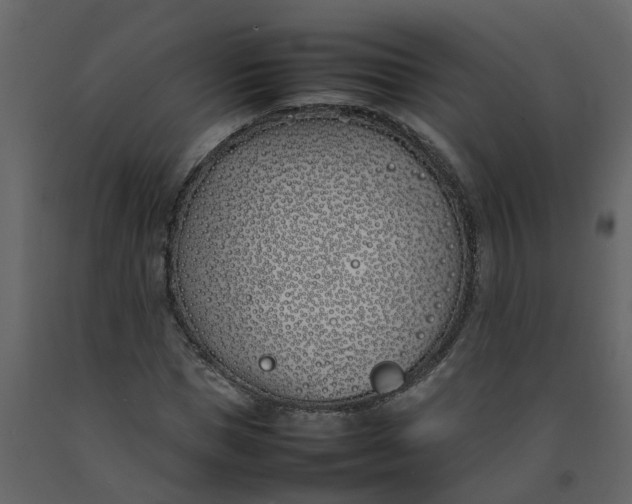 X0000092240921200710051235