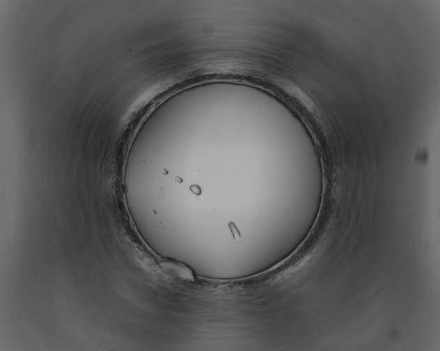 X0000092240922200710051235